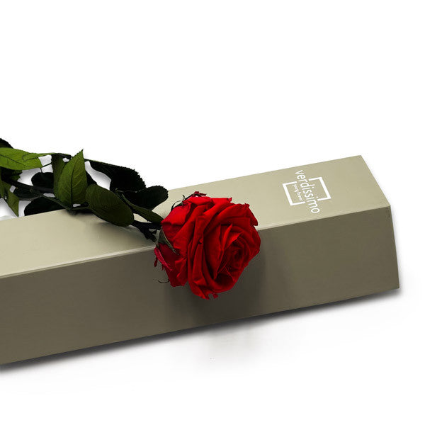 Red Infinity Rose Long Stem in Luxury Case