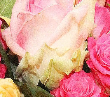 Luxury Roses Funeral Posy