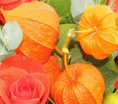 Orange Flower Posy