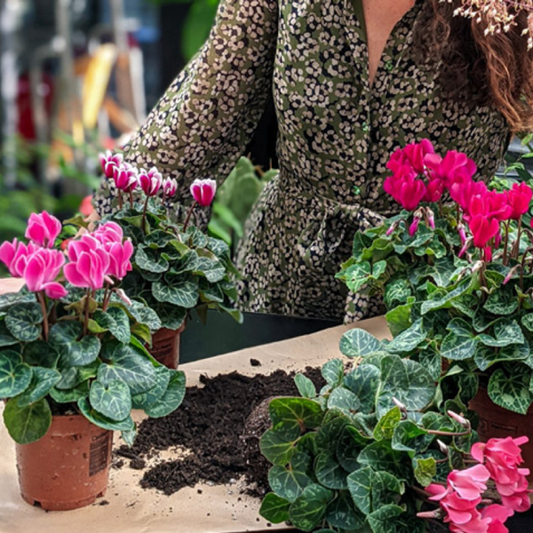 Autunm Garden Container