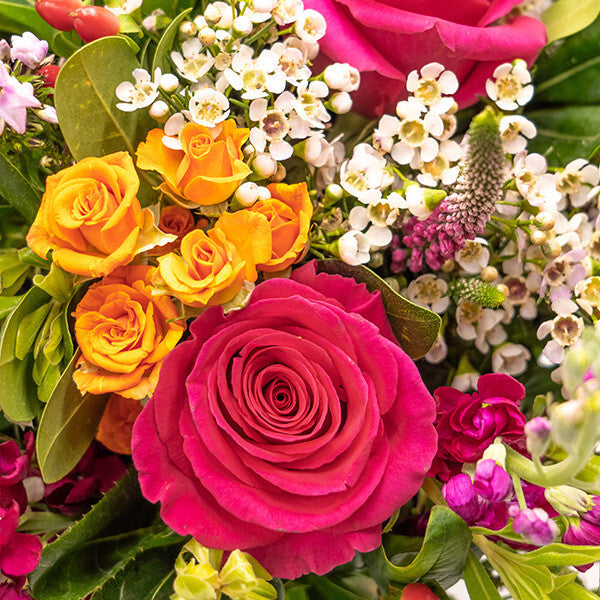 Blushing Brights+ Truffles Set