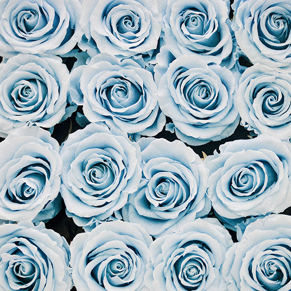 Infinity Blue Roses in a Black Box