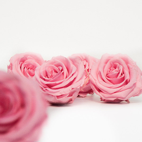 5 Infinity Pink Roses in a White Box