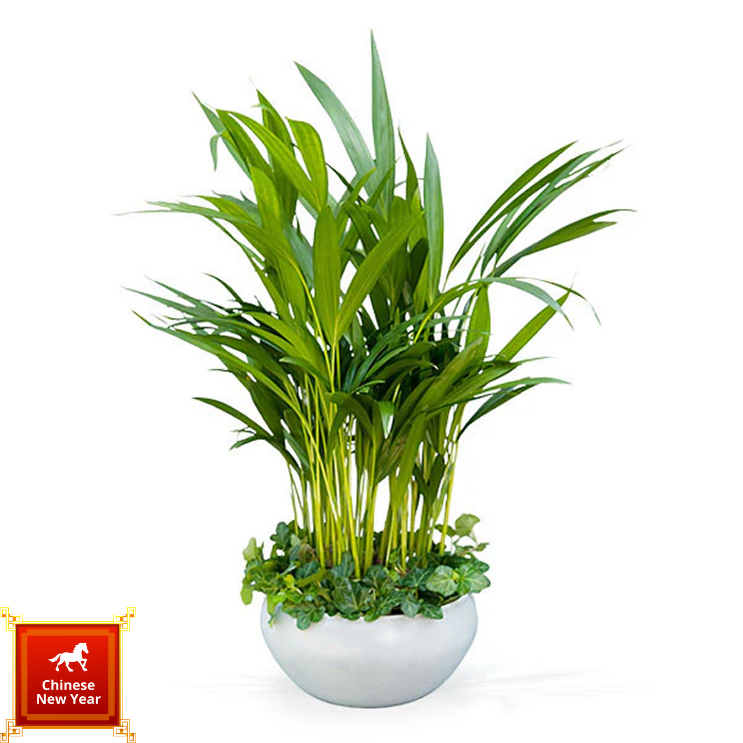 Green Moonlight - 青輝映月