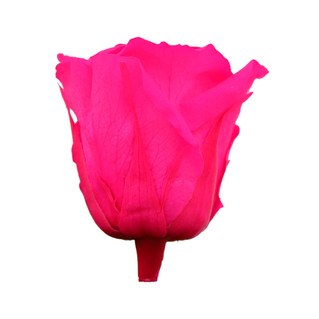 Hot Pink Infinity Rose Short Stem