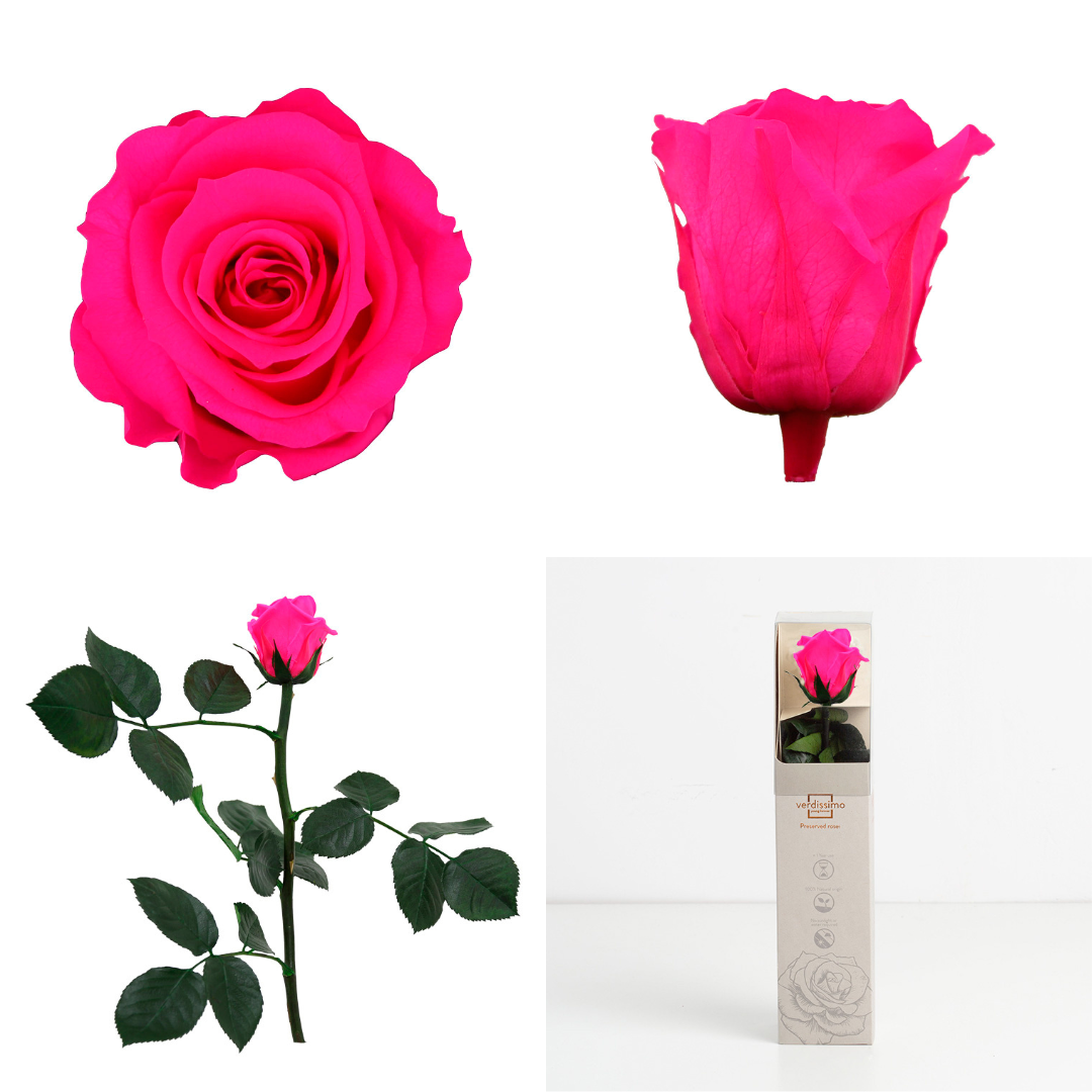 Hot Pink Infinity Rose Short Stem