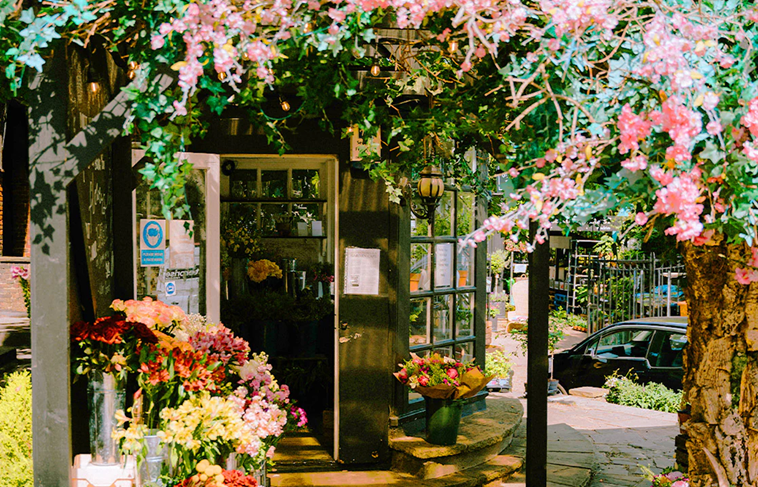 shop detail