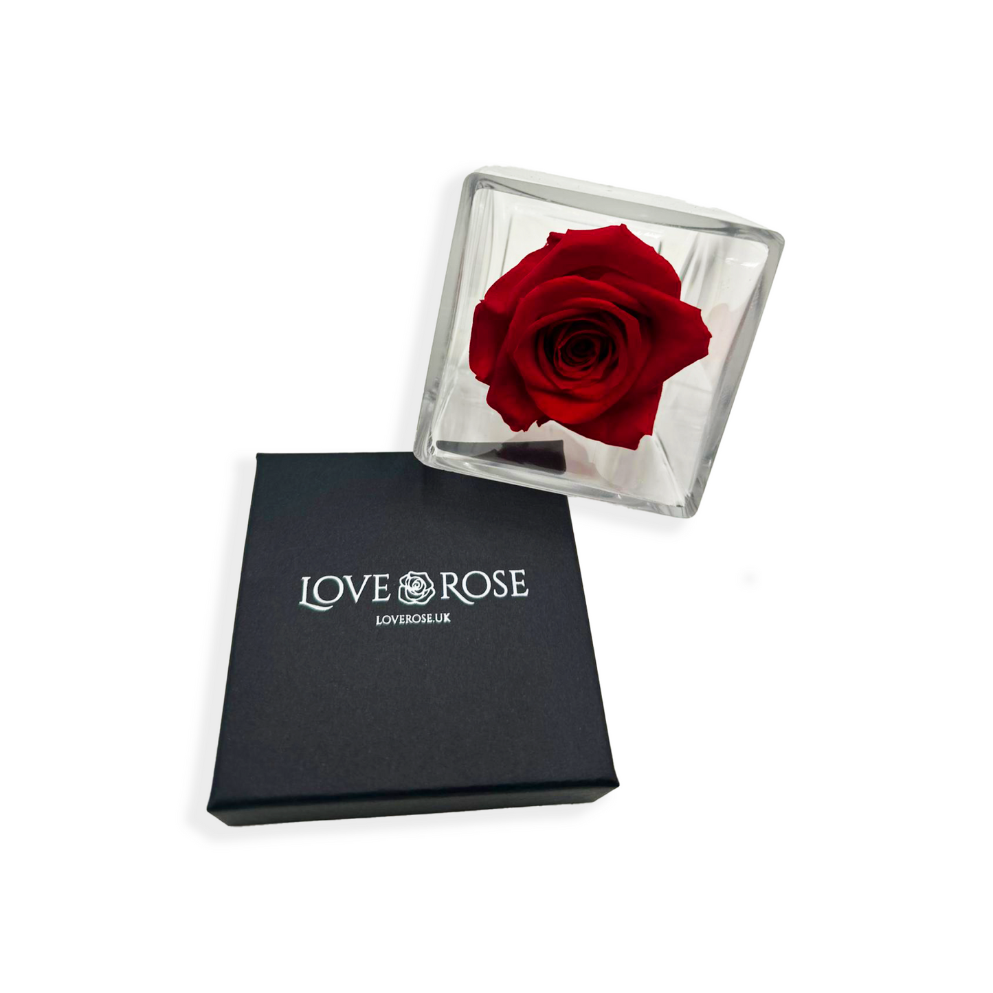 Infinity Red Rose Head in Clear Vase and Gift Box