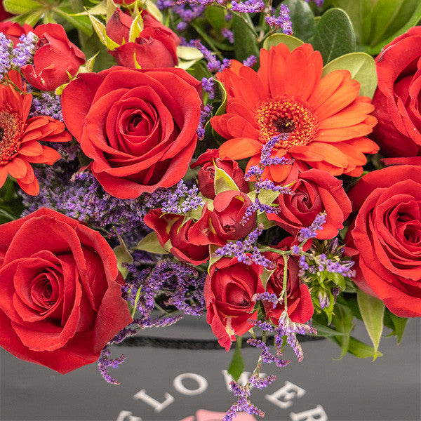 Fiery Red Radiance - 紅耀春光