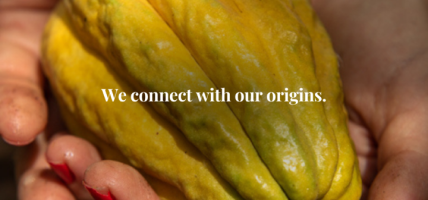 we connect with our origins