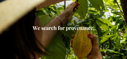 we search for provenance