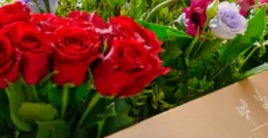 Why You'll Love Our Flower Subscription