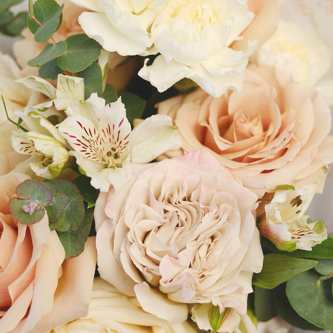 david austin roses, garden roses, hybrid roses, rose flowers ,