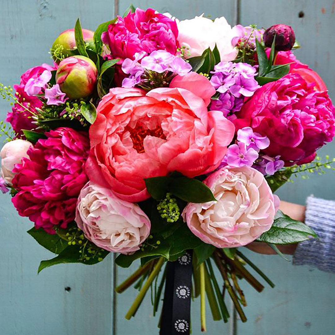 peony flowers, peony flowers meaning, peony flowers symbolism