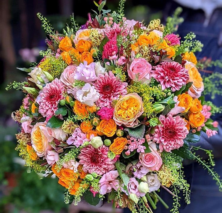 chrysanthemum