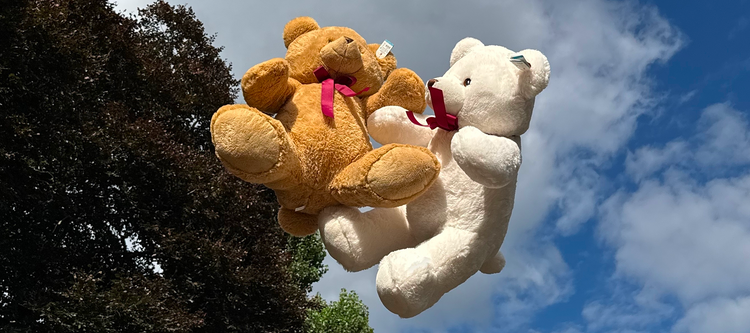 Teddy Bears
