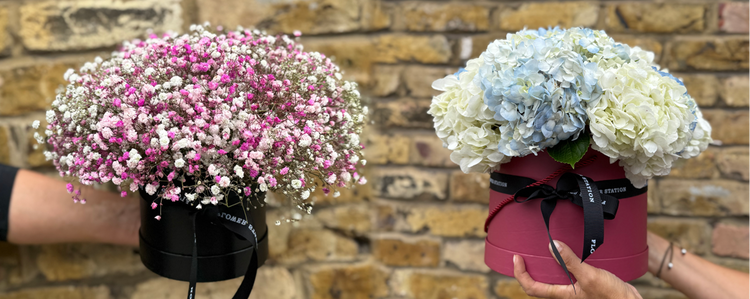 Hat Box Flowers