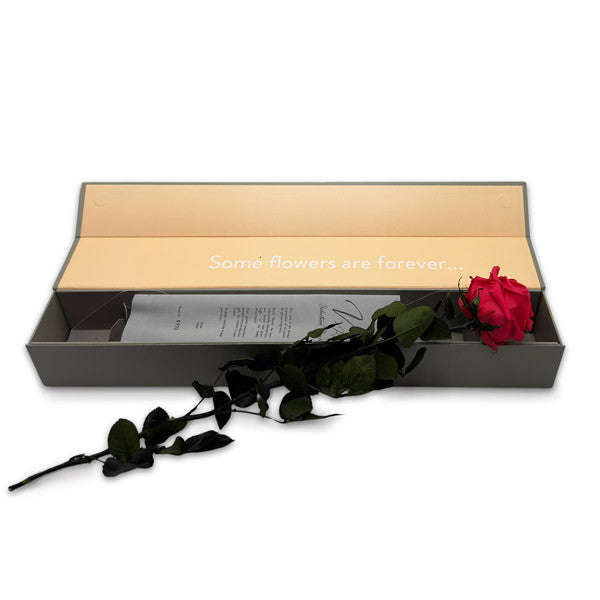 Single Long Stemmed Infinity Dark Pink Rose in Luxury Case