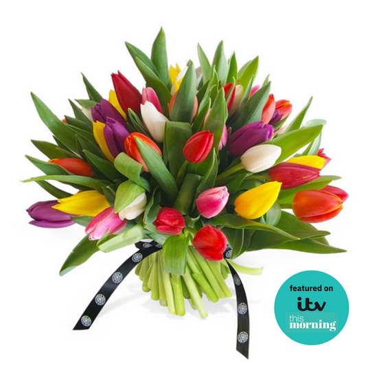 Mixed Tulips