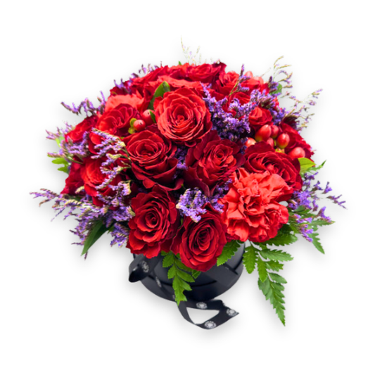 Scarlet Elegance in Black Hat Box