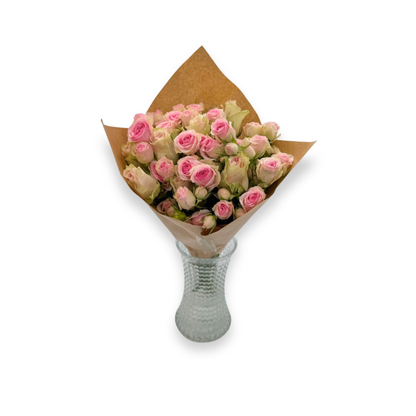 Blushing Petals