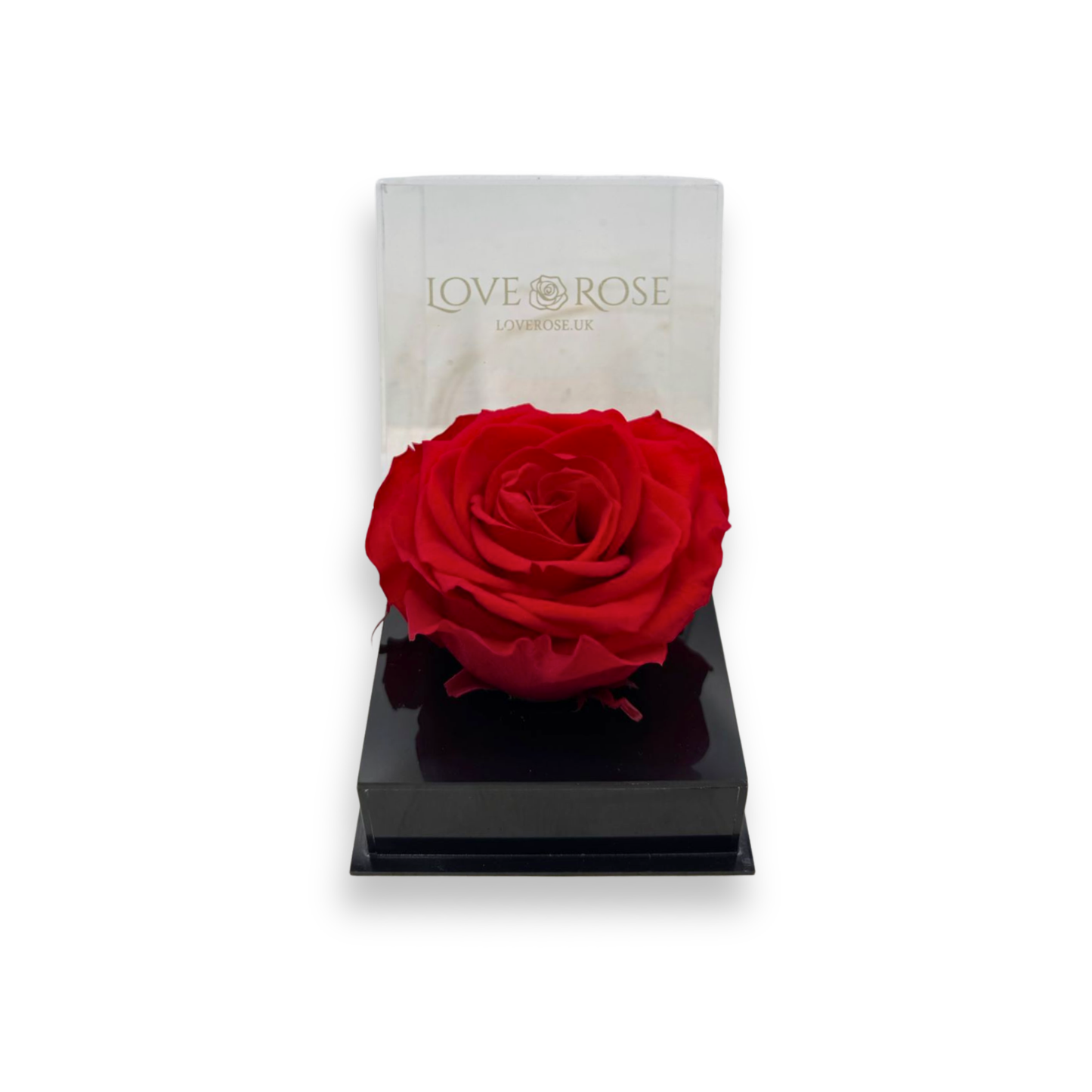 Single rose head in luxury case