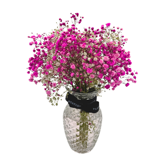 Pink baby's breath in a vase (Vase Included)