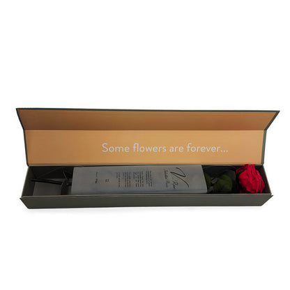 Single Long Stemmed Infinity Dark Pink Rose in Luxury Case