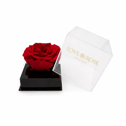 Single rose head in luxury case