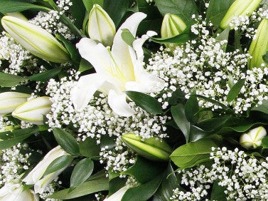 Single Ended White Lilies Funeral Spray