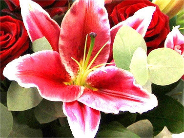 Pink Lilies and Red Roses