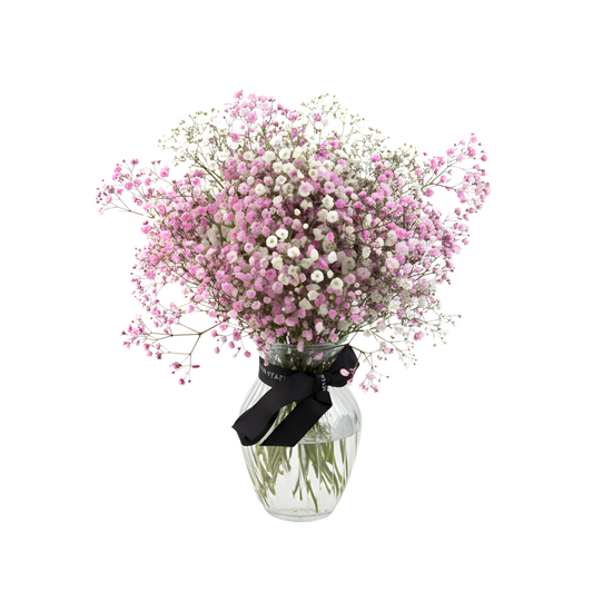 Pink baby's breath in a vase (Vase Included)