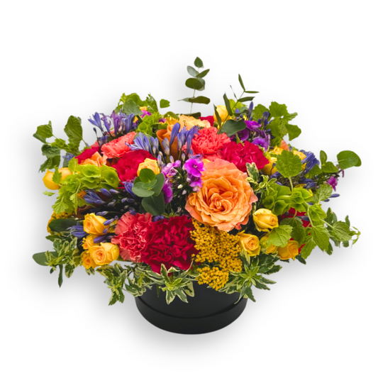 A Rainbow in a Black Hat Box