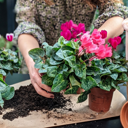 Autunm Garden Container