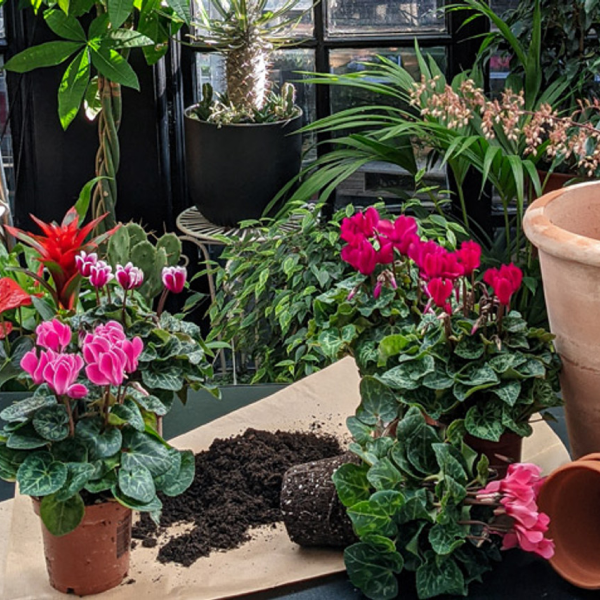 Autunm Garden Container