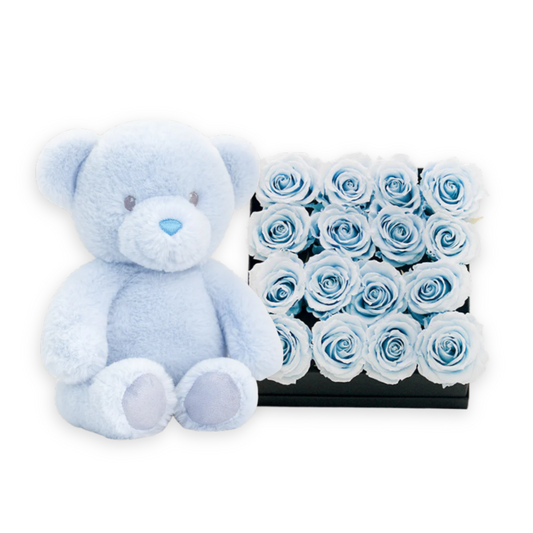 Baby Blue Gift Set