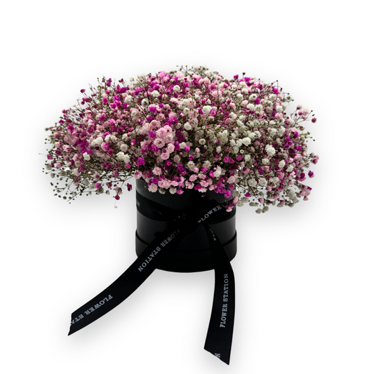 Baby’s Breath in a Black Hat Box