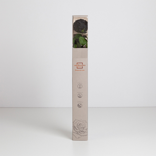 Black Infinity Rose Long Stem