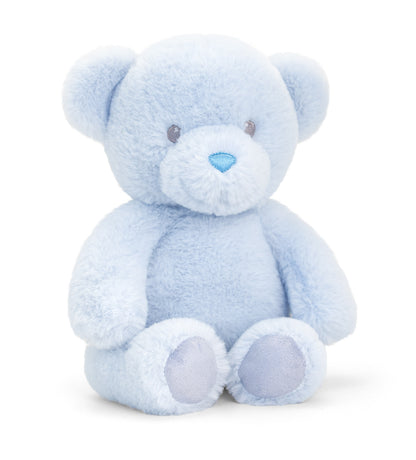 Baby Blue Gift Set