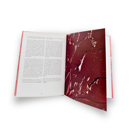 Tierra Hermosa: An Ecuadorian Tale of Chocolate (Limited Edition Book)