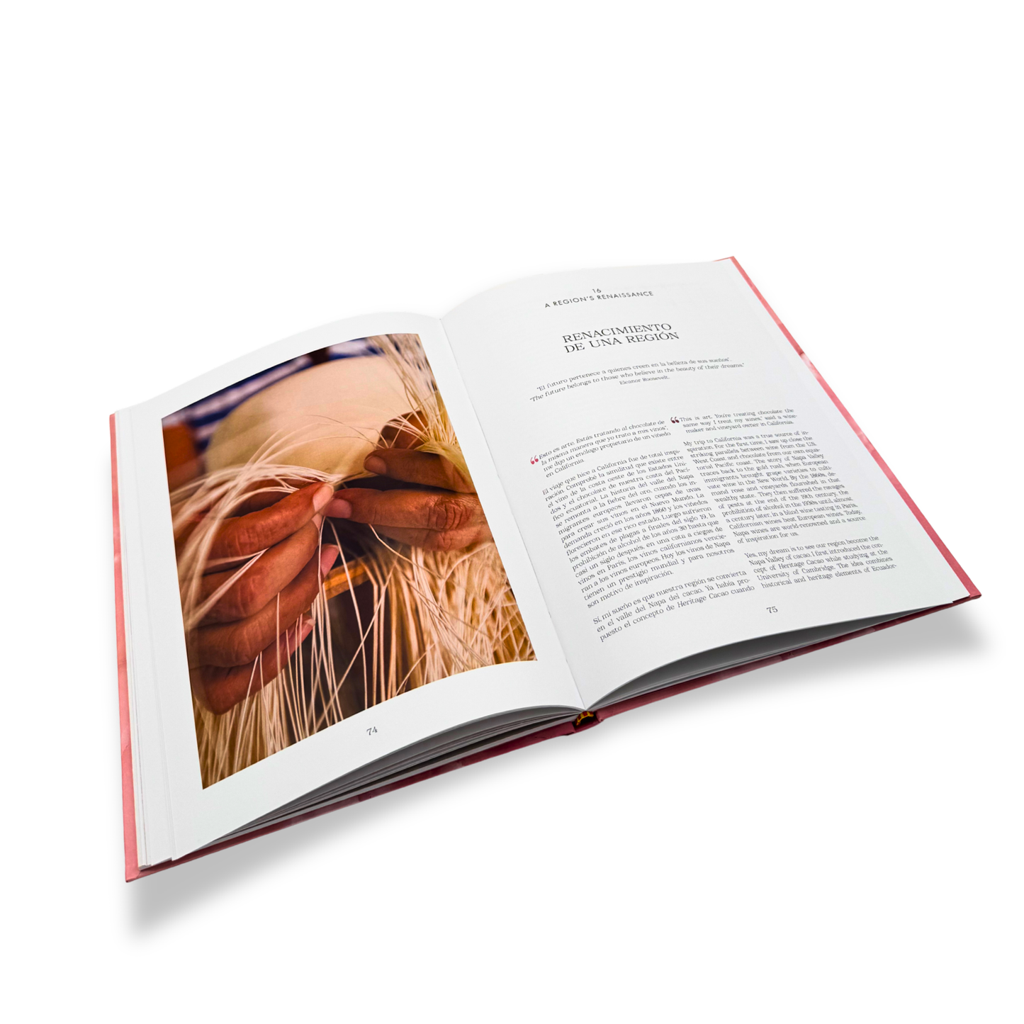 Tierra Hermosa: An Ecuadorian Tale of Chocolate (Limited Edition Book)