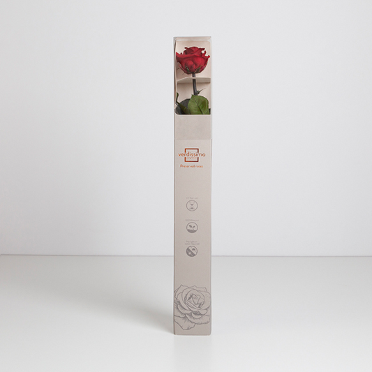 Dark Red Infinity Rose Long Stem