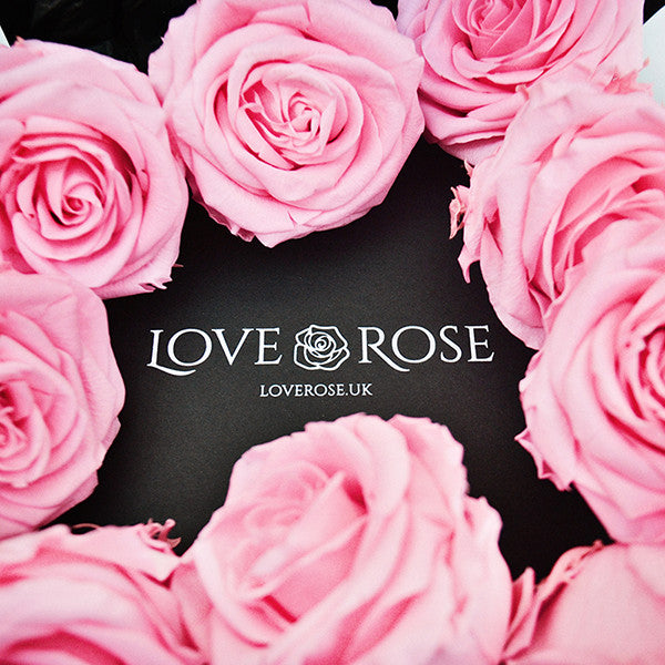 Infinity Pink Roses in a Black Box