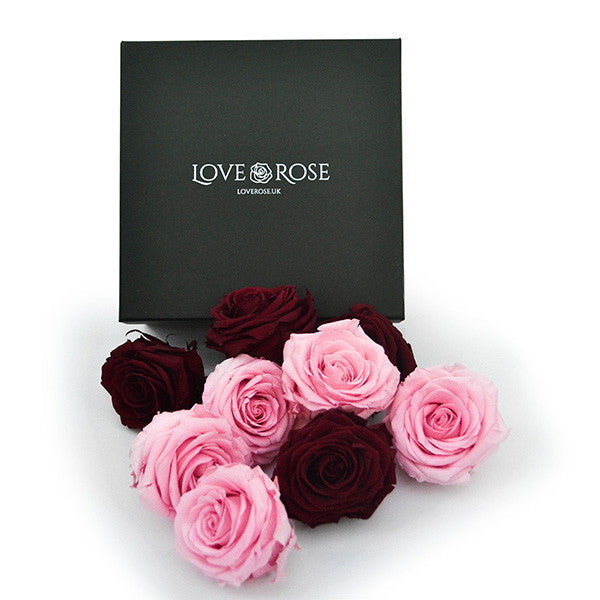 Infinity Red & Pink Roses in a Black Box