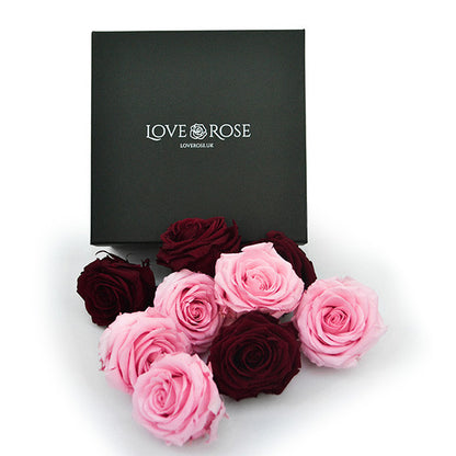Infinity Red & Pink Roses in a Black Box