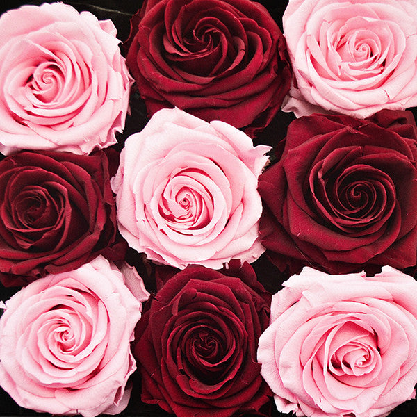 Infinity Red & Pink Roses in a Black Box