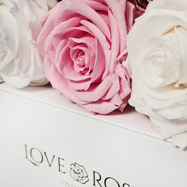 5 Infinity Pink & White Roses in a White Box