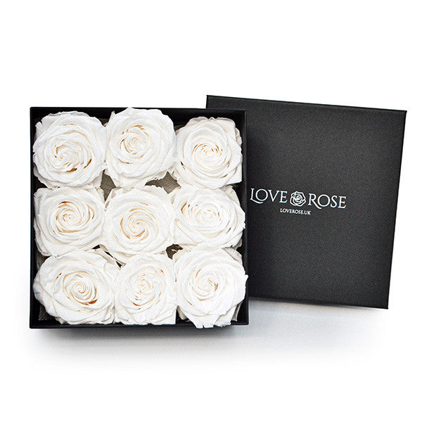 Infinity White Roses in a Black Box