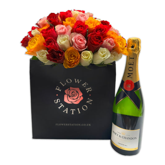 A Special Moment with Fizz