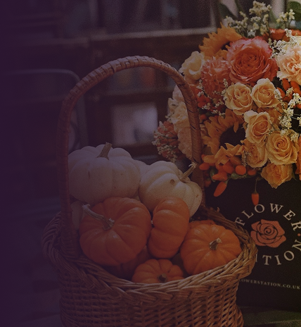 Bouquet of burgundy hydrangea, peach and lilac roses and orange kalanchoe in a Flower Station gift bag